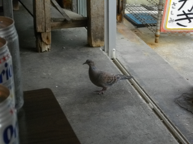 沖縄県那覇市の国際通り近くの立食いかき_d0153509_1582229.jpg