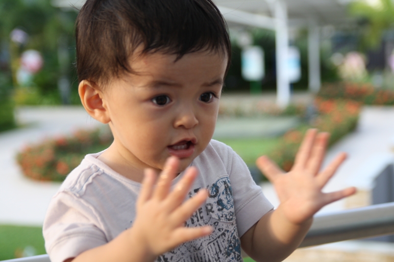 a0233910_2562059.jpg