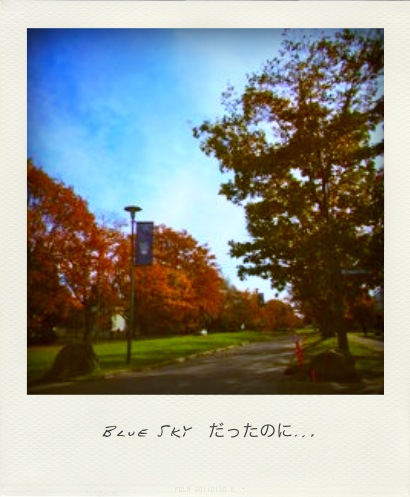 b0183911_22355527.png