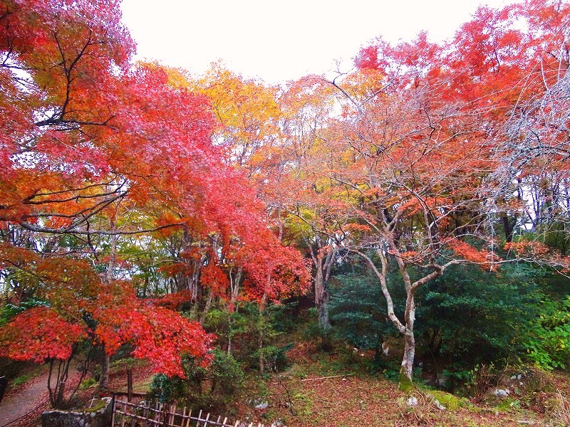 f0182513_2143282.jpg