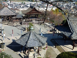 a0177314_824968.jpg