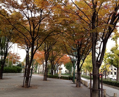 a0098418_19342268.jpg