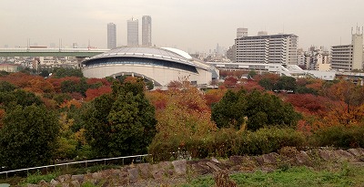 a0098418_19355186.jpg