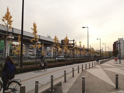 a0098418_19364967.jpg