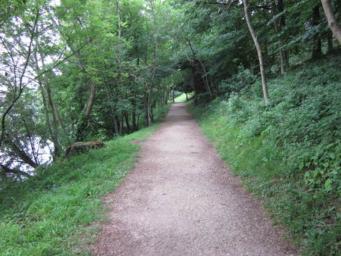 f0105732_1634388.jpg