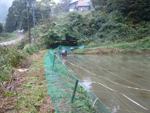 f0214235_13104020.jpg