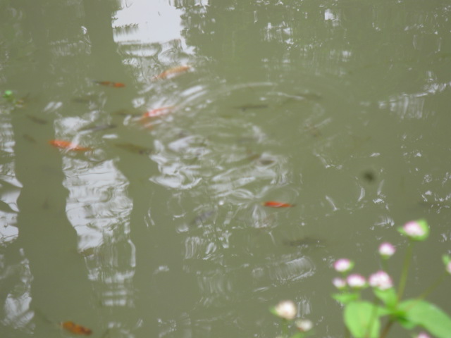 f0214235_1325038.jpg