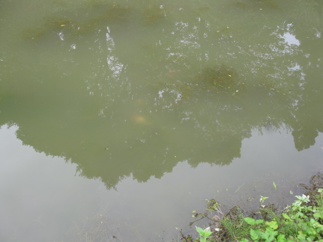 f0214235_13515667.jpg