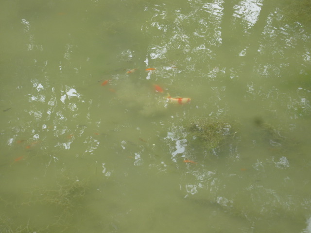 f0214235_1353408.jpg