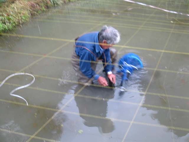f0214235_1381498.jpg