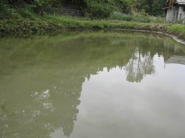 f0214235_141254.jpg