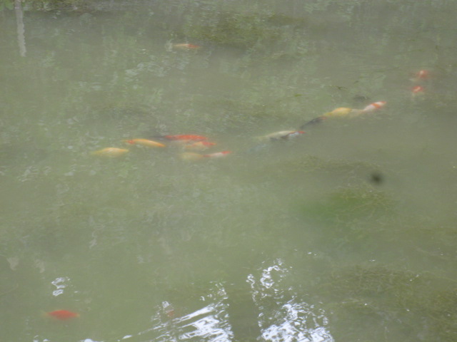 f0214235_1413018.jpg