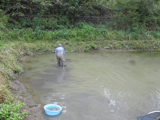 f0214235_14242841.jpg