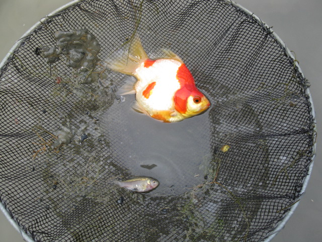 f0214235_14273663.jpg