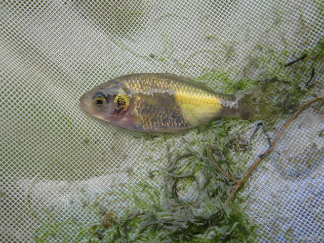 f0214235_1430372.jpg