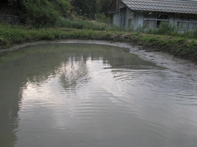 f0214235_14333264.jpg