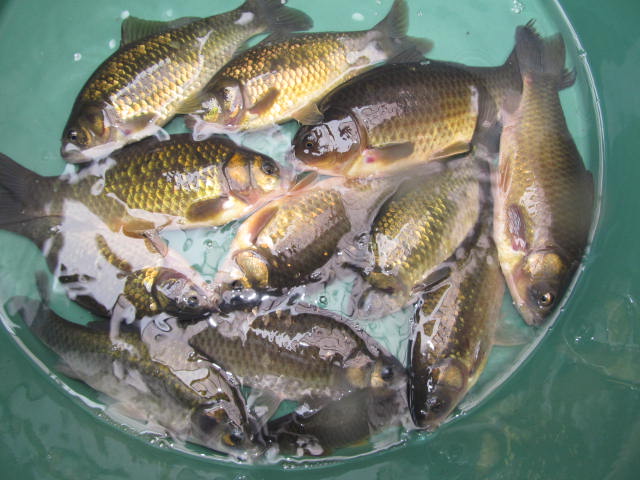 f0214235_15485694.jpg