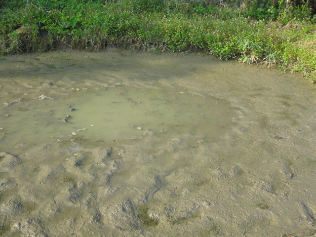 f0214235_15503944.jpg