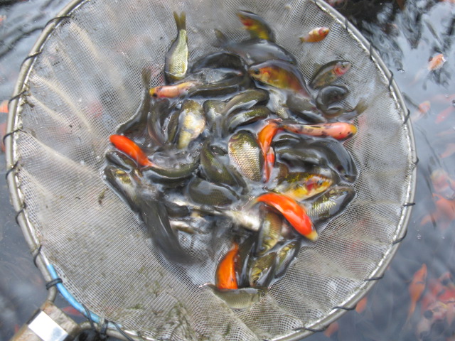 f0214235_15531360.jpg