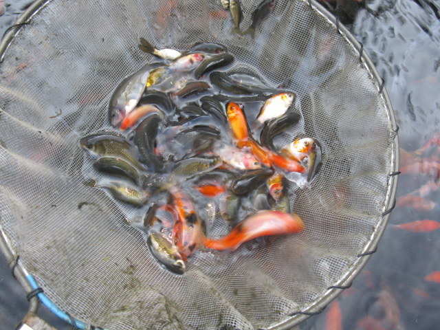 f0214235_15532725.jpg