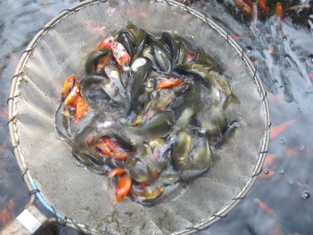 f0214235_1553650.jpg