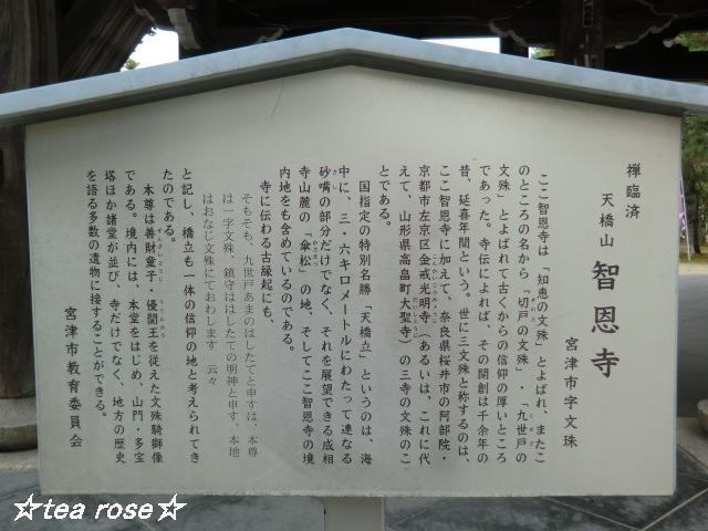 d0170639_029751.jpg