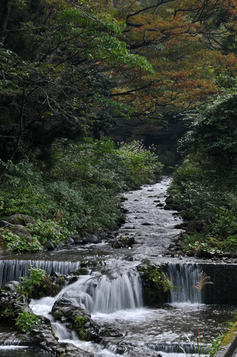 母なる川　谷根川_c0202242_711292.jpg