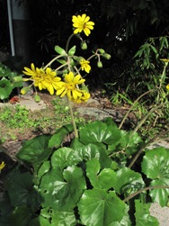 e0208844_20192343.jpg