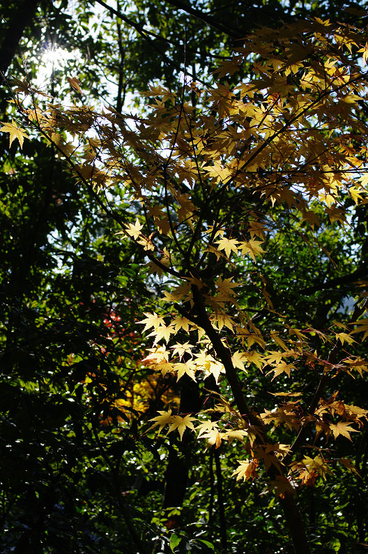 f0152550_2155450.jpg