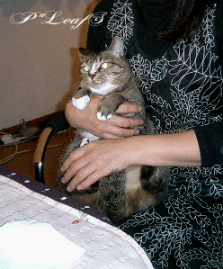 c0176651_16233820.gif