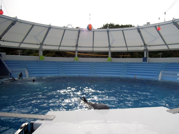みさき公園 獣医体験_b0024758_2374078.jpg