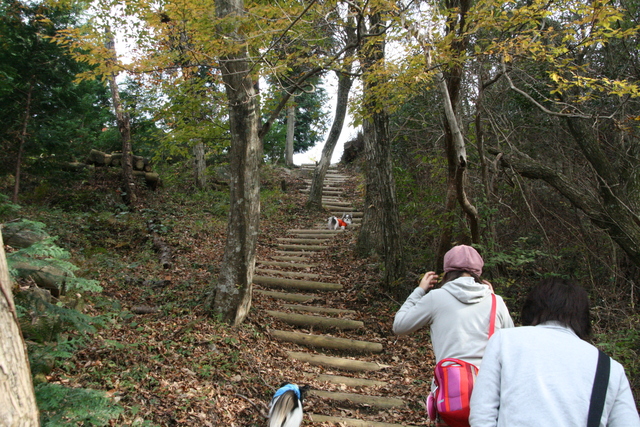 b0137459_22594312.jpg