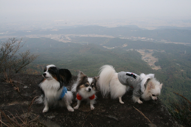 b0137459_23164634.jpg