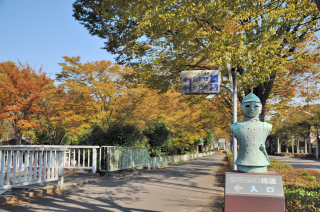 さきたま緑道～荒川越え_c0081462_2039232.jpg
