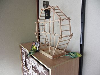 f0196665_05497.jpg