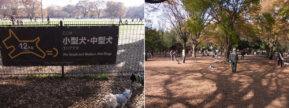 都内公園めぐり_e0059267_17431751.jpg