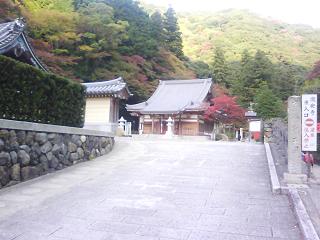 f0150767_1144677.jpg