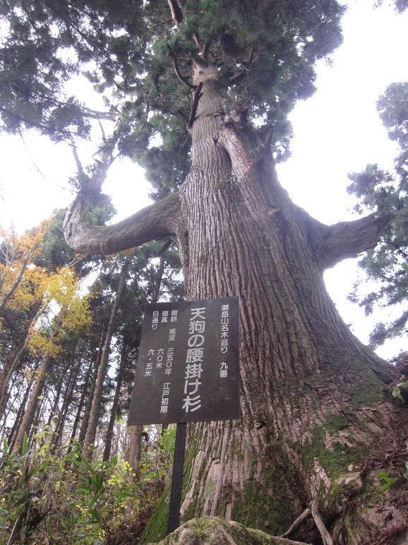 御岳~大岳山ハイキング_b0219170_116191.jpg