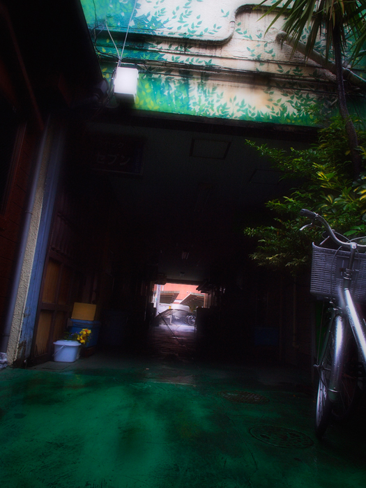 街コミュオフ会*吉祥寺~路地裏の風景~_a0161380_0395559.jpg