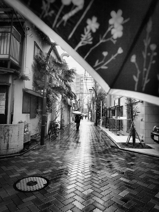 街コミュオフ会*吉祥寺~路地裏の風景~_a0161380_043146.jpg