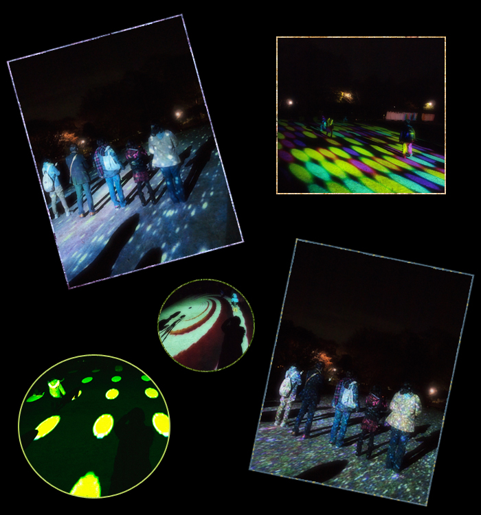江戸東京たてもの園*ライトアップ2011*影絵で遊ぼう_a0161380_12594864.jpg
