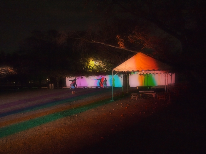 江戸東京たてもの園*ライトアップ2011*影絵で遊ぼう_a0161380_1344786.jpg