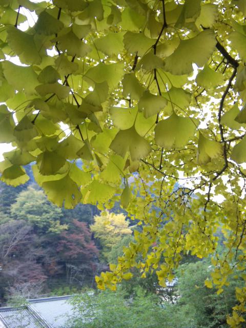 -_f0197985_1302655.jpg