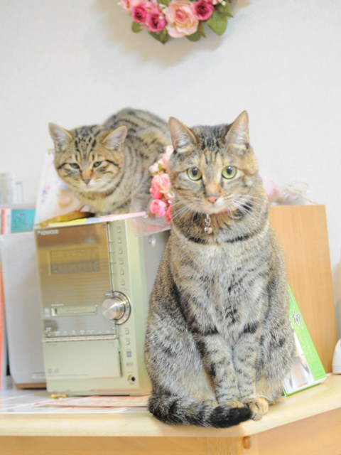解禁です_a0126590_025648.jpg