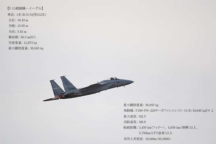 < 岐阜基地航空祭に行ってきた >その1_c0183700_22232239.jpg