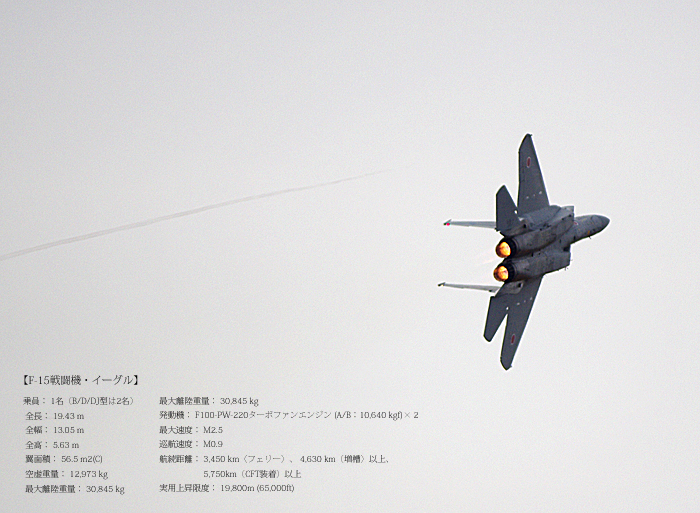 < 岐阜基地航空祭に行ってきた >その1_c0183700_22234531.jpg