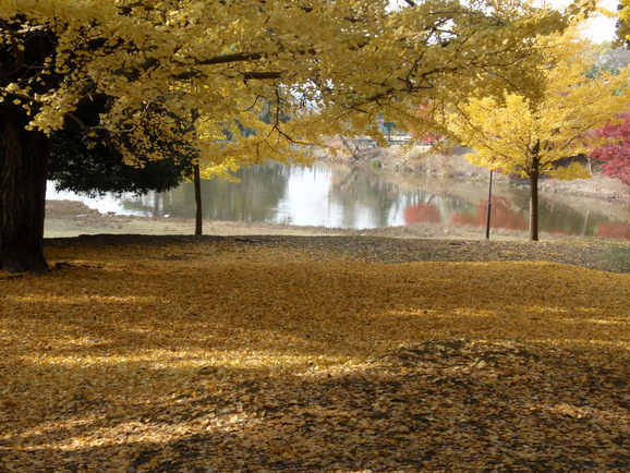 d0171701_22184150.jpg