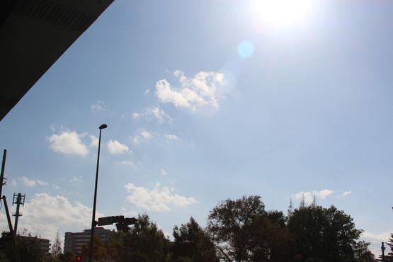 c0227403_23535699.jpg