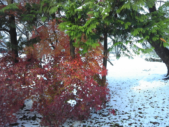 e0242504_626677.jpg
