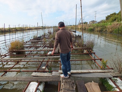 霞ヶ浦 真珠の養殖場 秘湯 温泉 源泉 ぬる湯 新潟 魚沼市 駒の湯山荘